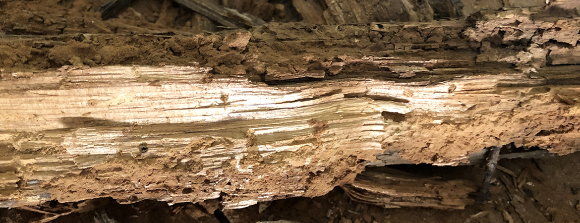 Traitement, poutres, charpentes, insectes, Luberon, Vaucluse