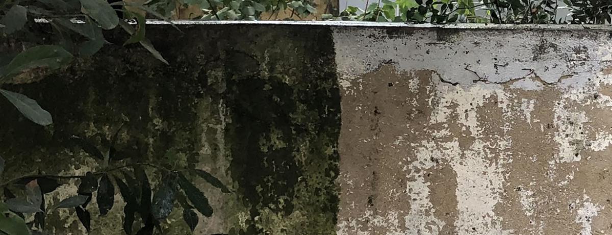 Nettoyage haute pression de mur dans le Vaucluse